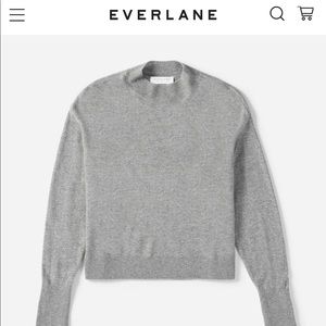 Everlane Cashmere Crop Mockneck Sweater